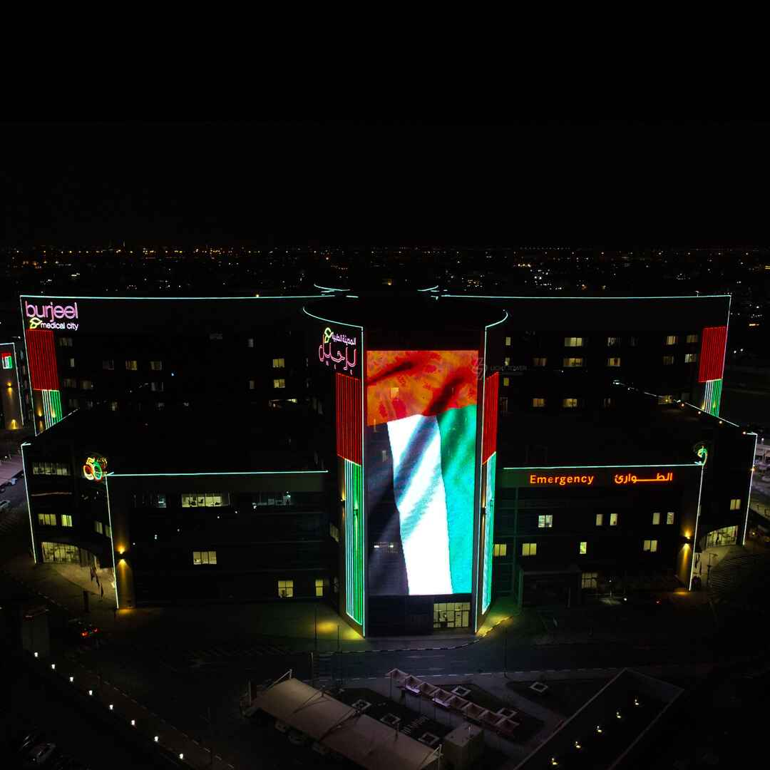 National Day Light Decoration - BMC