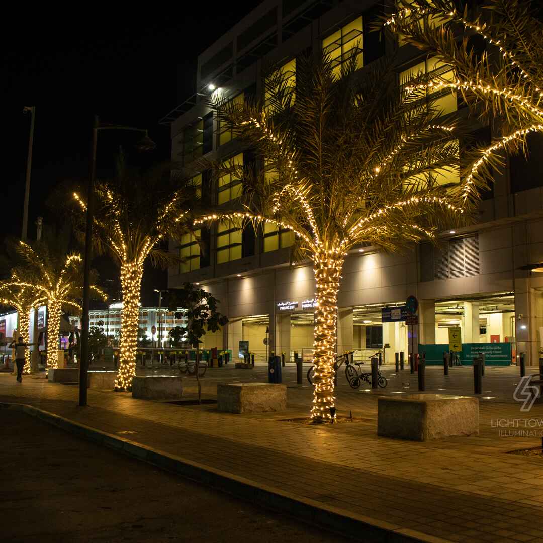 Street Tree Lighting